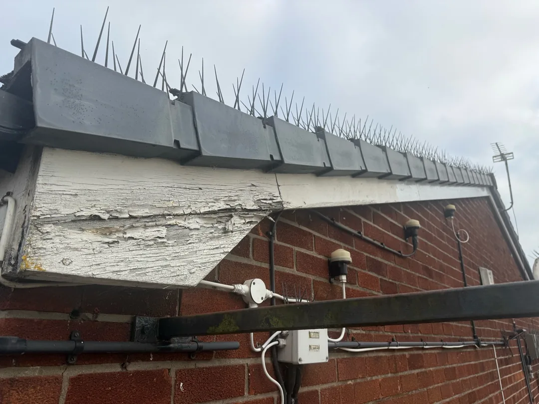 Flaking paint on the gable fascia before preparation and redecoration.