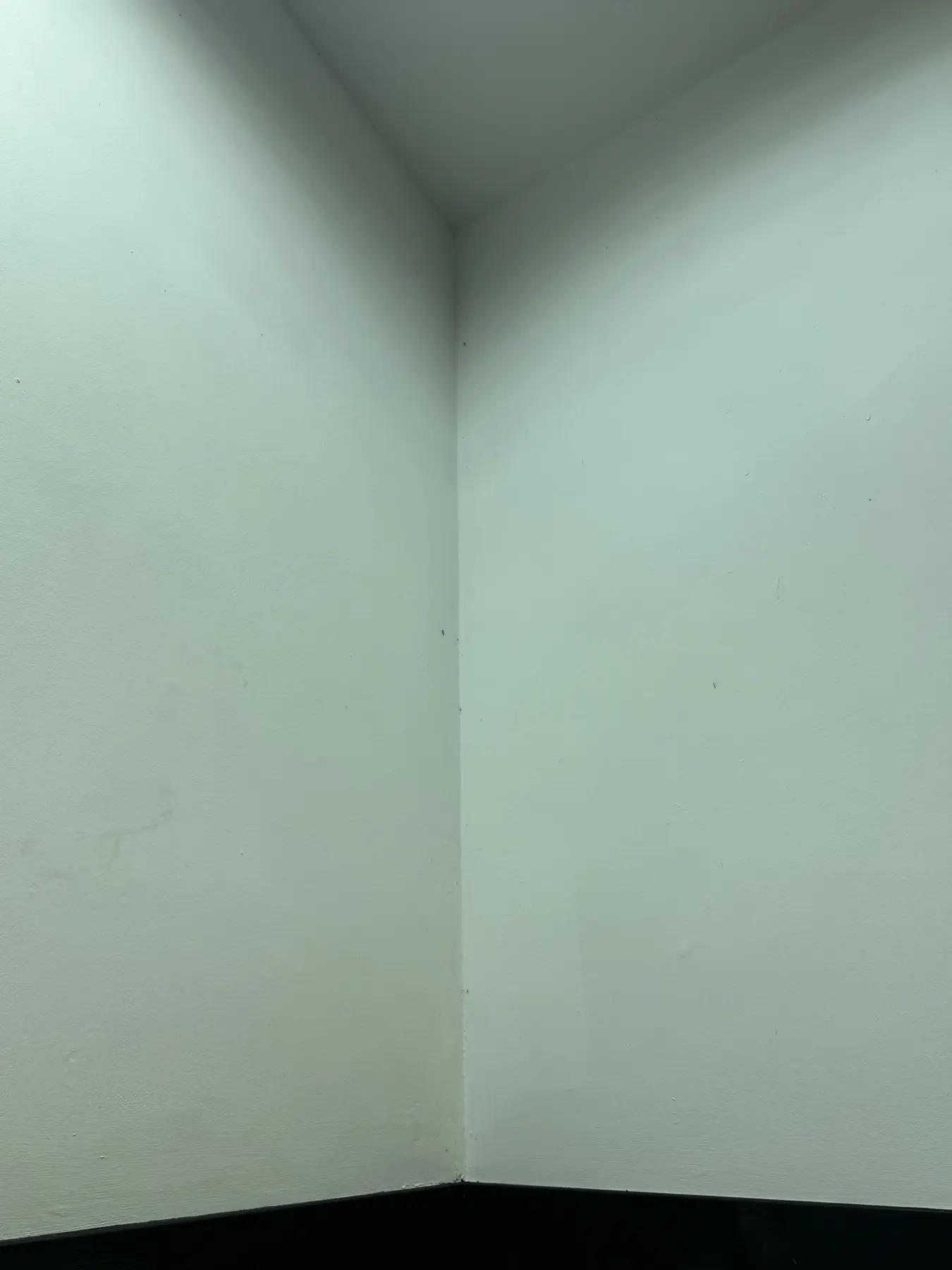 Finished painted corner in the main automotive workshop